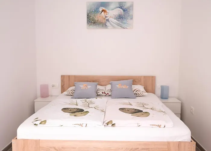 Ovcica With Terrace In アパート